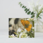 Orange Butterfly Postkarte (Stehend Vorderseite)