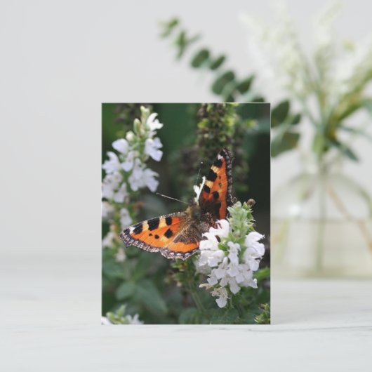Orange Butterfly Postkarte (Stehend Vorderseite)