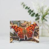 Orange Butterfly Postkarte (Stehend Vorderseite)