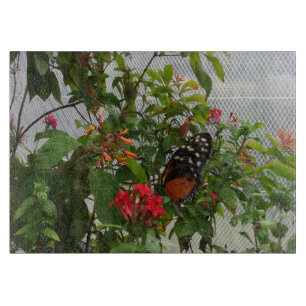 ORANGE BUTTERFLY SCHNEIDEBRETT