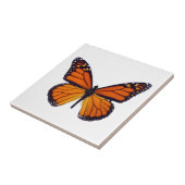 Orange Butterfly Tile Fliese (Seite)