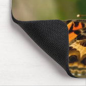 Orange Butterfly über Wild Hyacinth Apparel & Gesc Mousepad (Ecke)