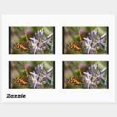 Orange Butterfly über Wild Hyacinth Apparel & Gesc Rechteckiger Aufkleber (Blatt)