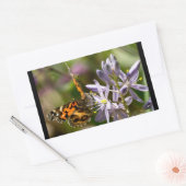 Orange Butterfly über Wild Hyacinth Apparel & Gesc Rechteckiger Aufkleber (Umschlag)