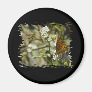 Orange Butterfly und Biene Magnet
