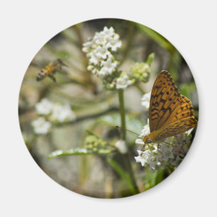 Orange Butterfly und Biene Magnet