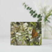 Orange Butterfly und Biene Postkarte (Stehend Vorderseite)