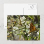 Orange Butterfly und Biene Postkarte (Vorne/Hinten)