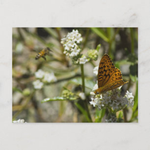 Orange Butterfly und Biene Postkarte