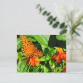 Orange Butterfly Upload Postkarte (Stehend Vorderseite)