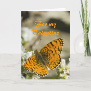 Orange Butterfly Valentine Feiertagskarte