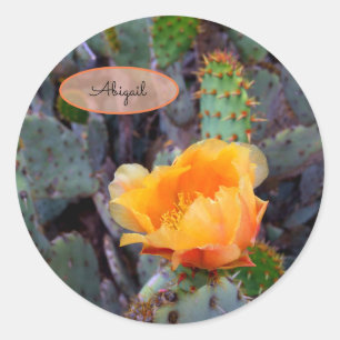 Orange Cactus Blume Blossom Prickly Birne Opuntia Runder Aufkleber