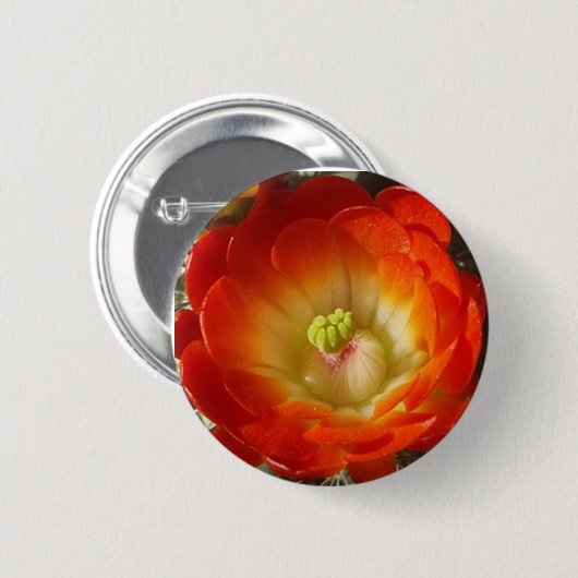 Orange-Cactus-Blume Button (Vorne & Hinten)