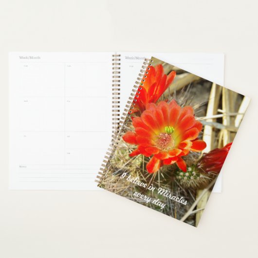 Orange Cactus Blume, das Wunder von New Mexico Planer (Anzeige)