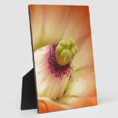 Orange Cactus Blume Fotoplatte (Seite)