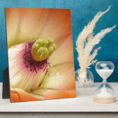 Orange Cactus Blume Fotoplatte (Seite)