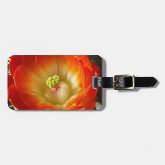 Orange-Cactus-Blume Gepäckanhänger (Vorderseite horizontal)