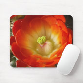Orange Cactus Blume Mouse Pad Mousepad (Mit Mouse)