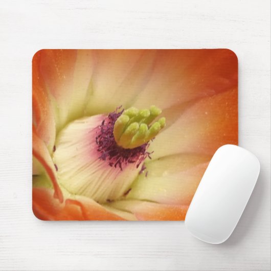 Orange Cactus Blume Mousepad (Mit Mouse)