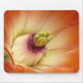 Orange Cactus Blume Mousepad (Vorne)