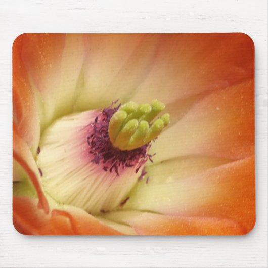Orange Cactus Blume Mousepad (Vorne)