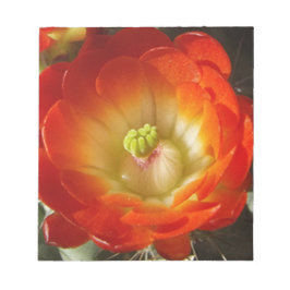 Orange-Cactus-Blume Notizblock
