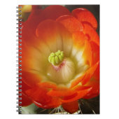 Orange-Cactus-Blume Notizblock (Vorderseite)