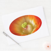 Orange-Cactus-Blume Ovaler Aufkleber (Umschlag)