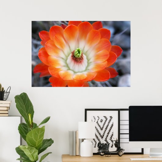 Orange Cactus Blume Poster (Heimbüro)