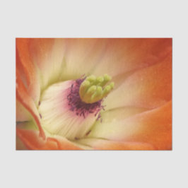 Orange Cactus Blume Tissue Paper Seidenpapier
