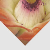 Orange Cactus Blume Tissue Paper Seidenpapier (Ausschnitt)