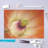 Orange Cactus Blume Tissue Paper Seidenpapier (Handwerk)