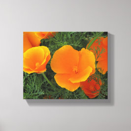 Orange California Blume Leinwanddruck