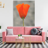 Orange California Blume Leinwanddruck (Insitu (Wohnzimmer))