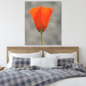 Orange California Blume Leinwanddruck (Insitu (Schlafzimmer))