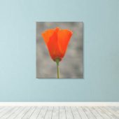 Orange California Blume Leinwanddruck (Insitu (Holzboden))