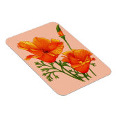 Orange California Magnet (Rechte Seite)