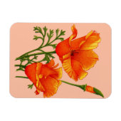 Orange California Magnet (Horizontal)