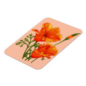 Orange California Magnet (Linke Seite)