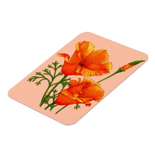 Orange California Magnet (Linke Seite)