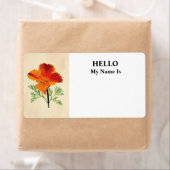 Orange California Poppy (Insitu)