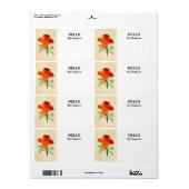 Orange California Poppy (Vorne)