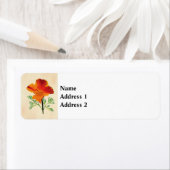 Orange California Poppy (Insitu)