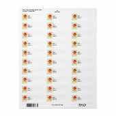 Orange California Poppy (Vorne)