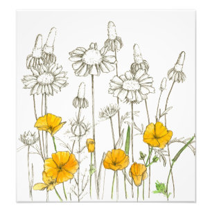 Orange California Poppy Blume Pflanze Sketch Fotodruck