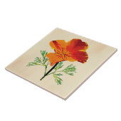 Orange California Poppy Fliese (Seite)