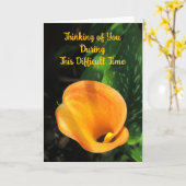 Orange Calla Lily Denken Sie an Sie Sympathy Card Karte (Gelbe Blume)