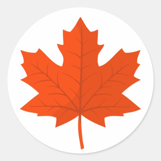 Orange Canadian Maple Tree Leaf Runder Aufkleber (Vorderseite)