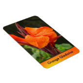Orange Canna Blume Magnet (Rechte Seite)
