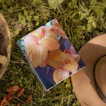 Orange Canna Lily Floral